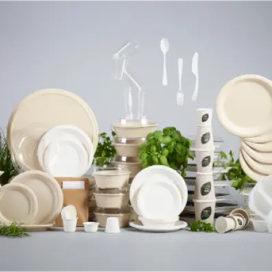 ecoambiance.md Veselă de unică folosință