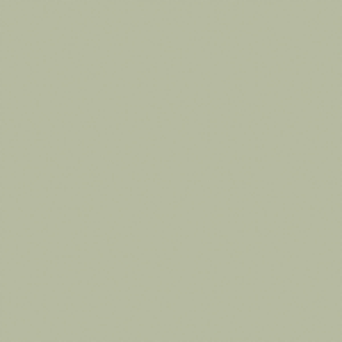 Șervețele Bio DSF 40X40CM Pistachio green, 12buc